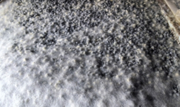 糖果派对 - 更优质的游戏运营商官网