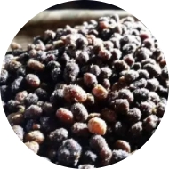 糖果派对 - 更优质的游戏运营商官网